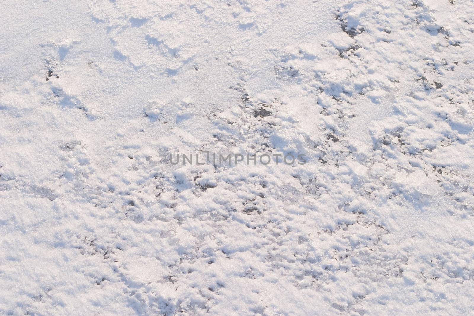 Texture of the snow. Thin snow crust on the surface of the frozen lake. Natural sunlight emphasizes texture. Pattern # 4