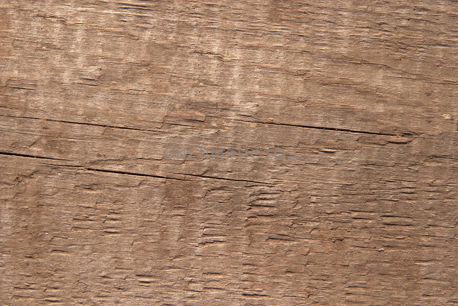 Texture of old wood. The hard side light reveals texture. One can see traces of rough handling and small cracks. Color of old noble wood. For any designer's use.