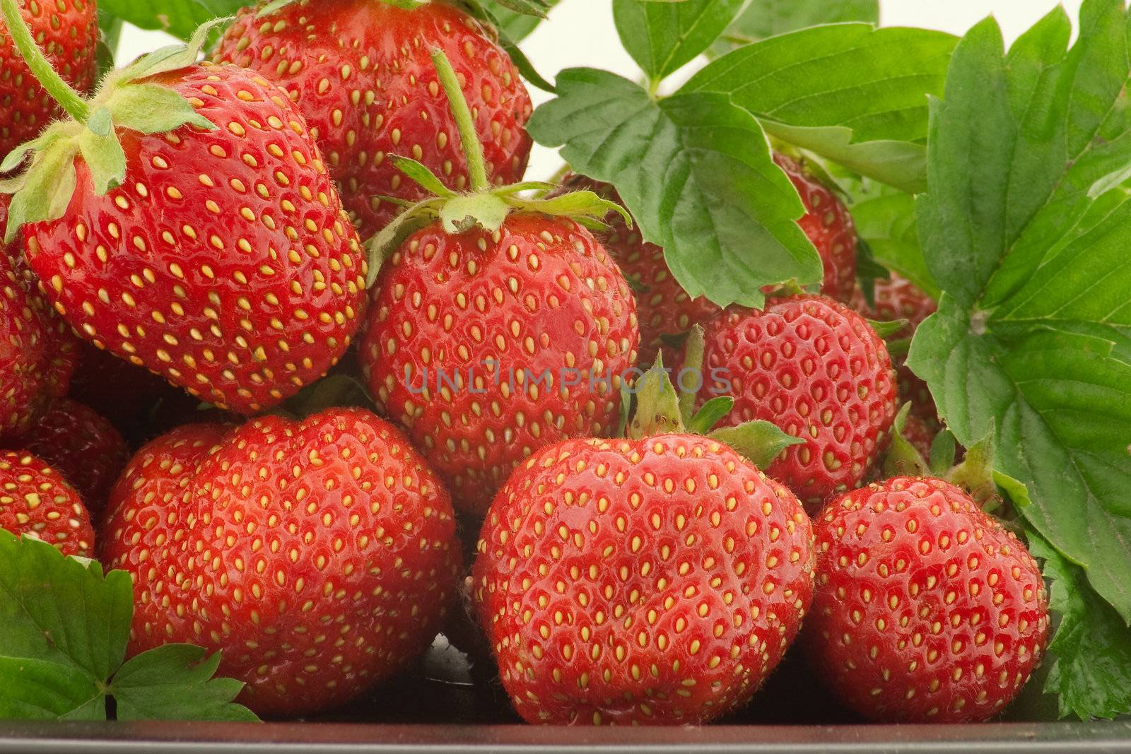 Heap of a lot of fresh red strawberries