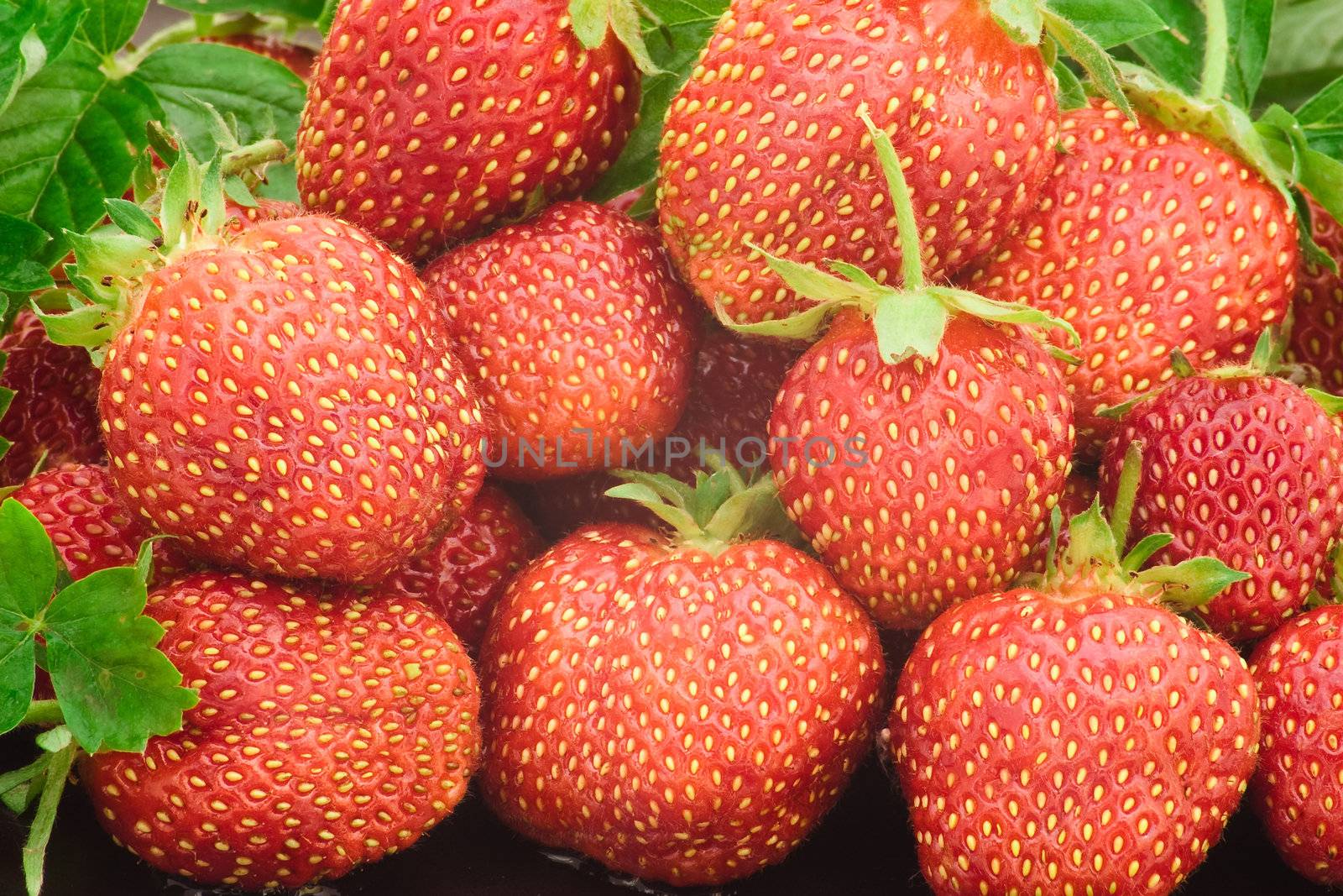 Heap of a lot of fresh red strawberries