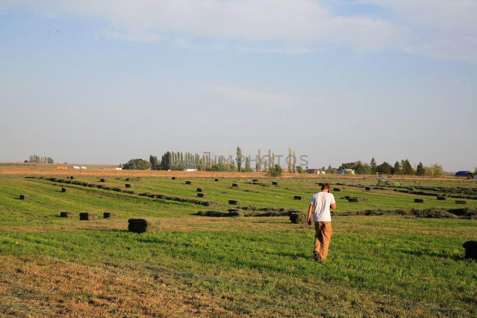 A young farmer on a field with hay bales