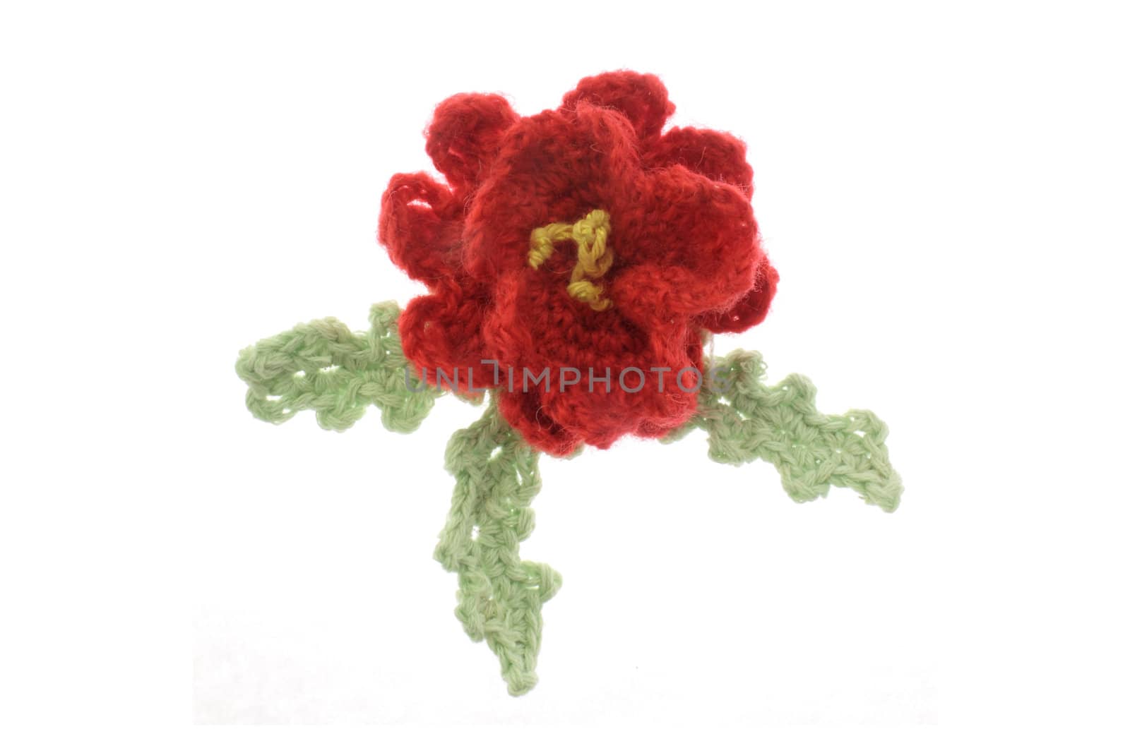 Close up of woolen flower isolated in white