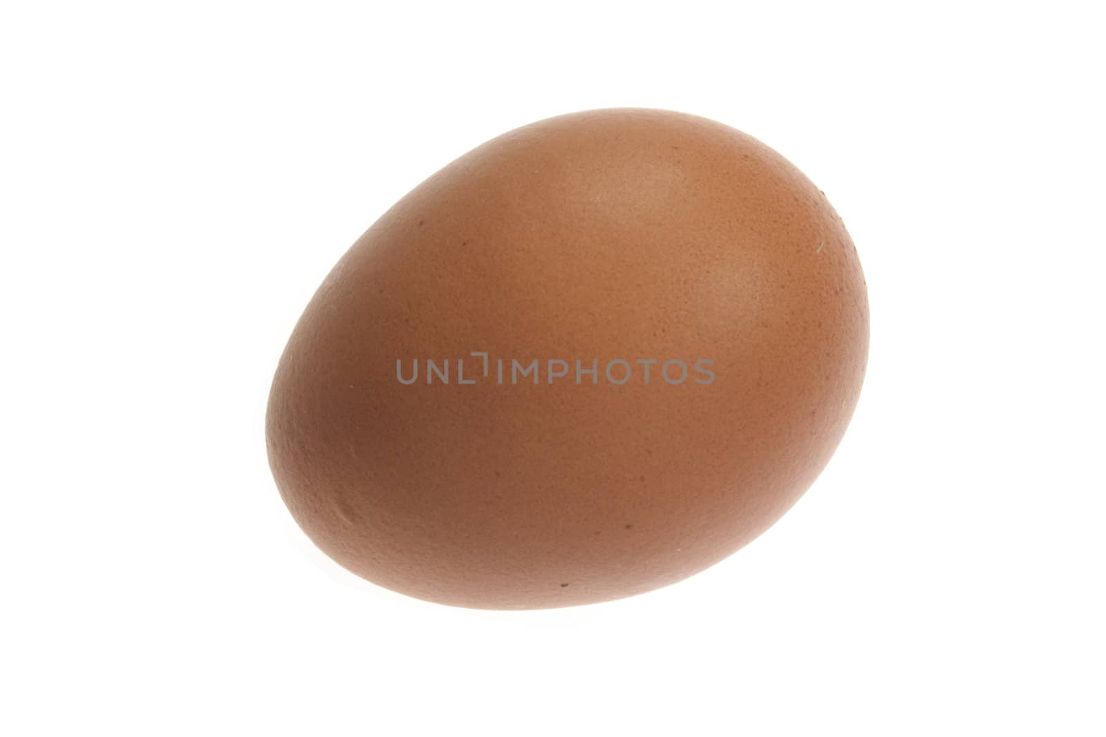 an egg by Jova