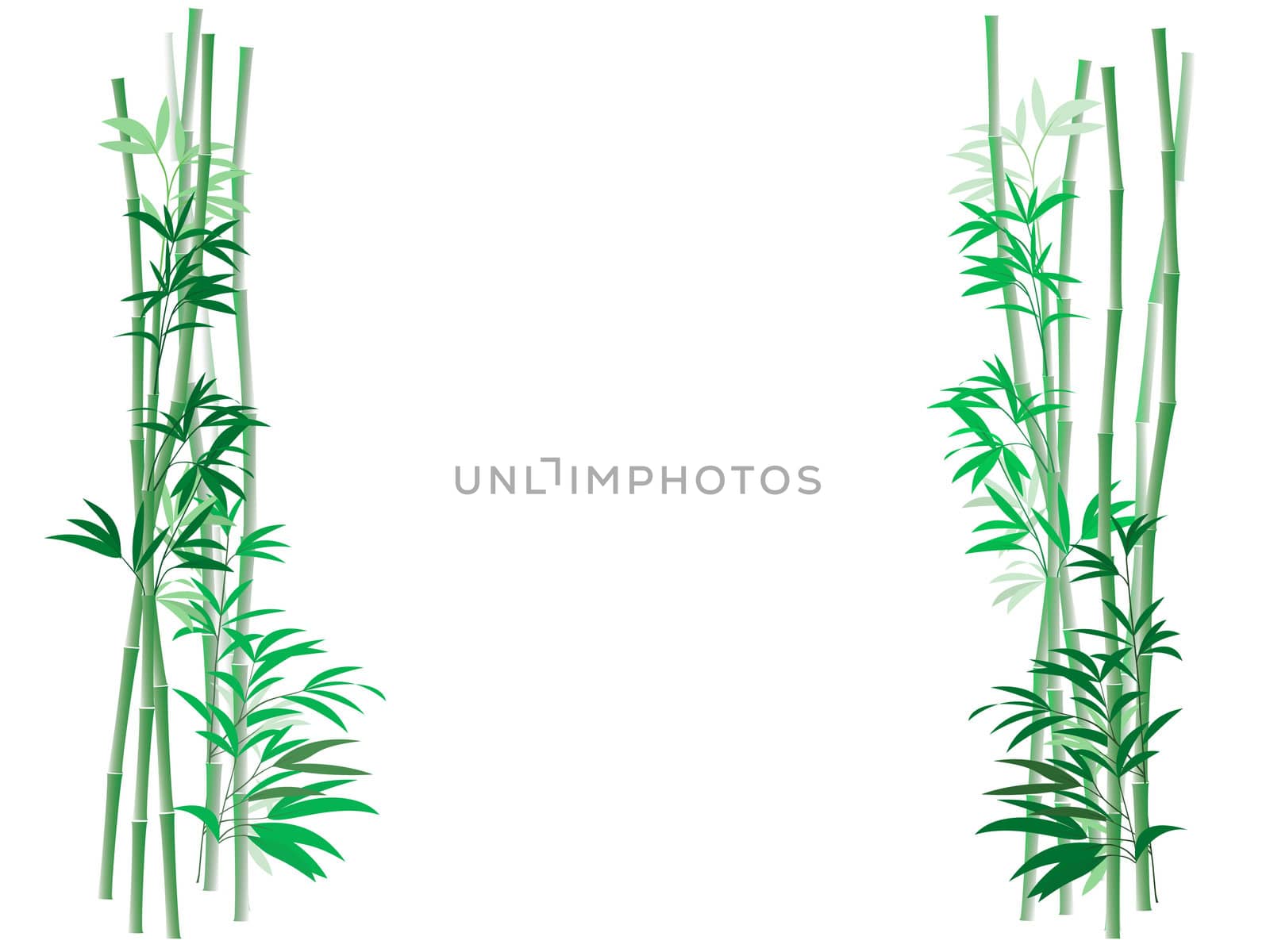 Bamboo Thicket Background by digerati