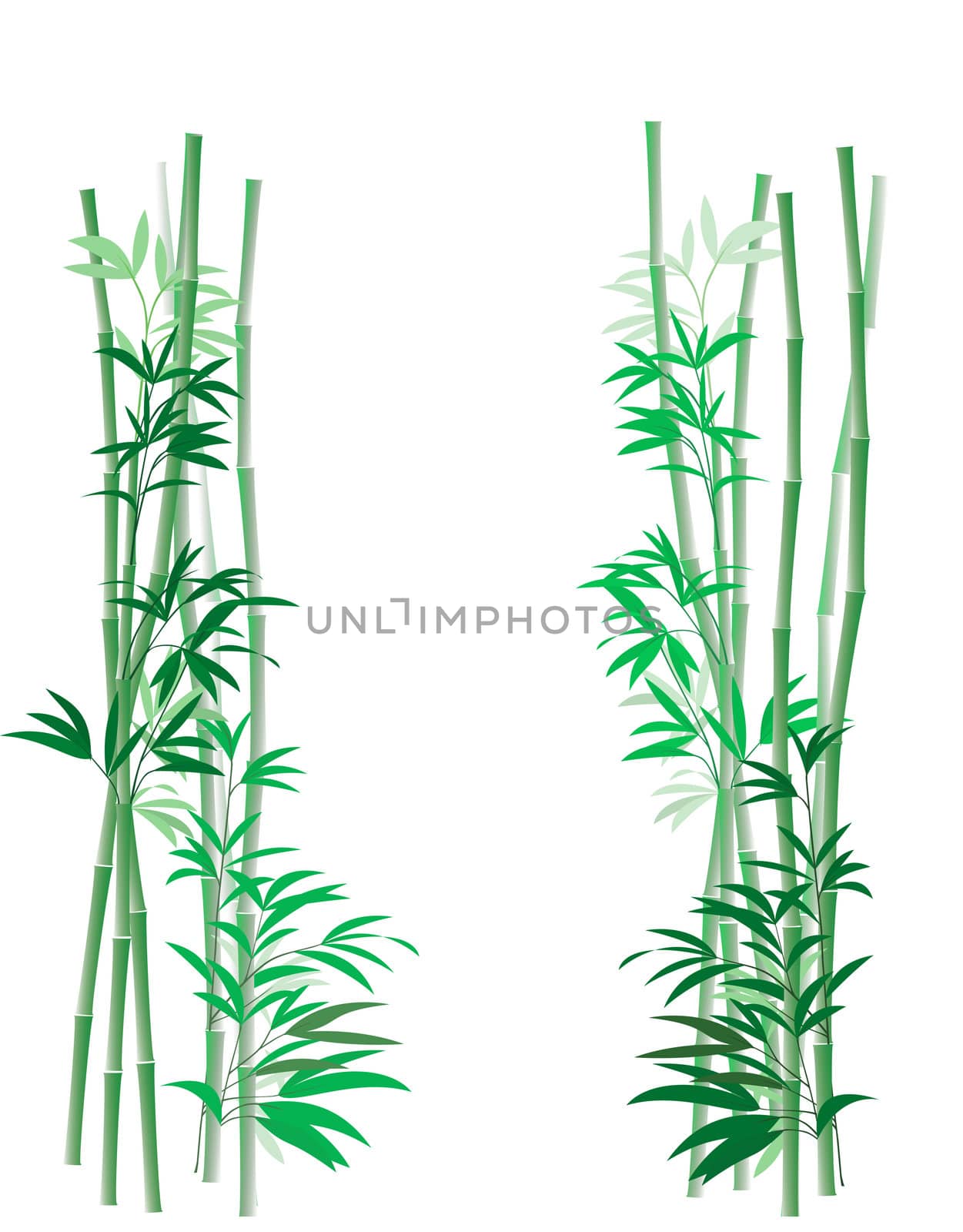 Illustration of green bamboo canes and leaves against a white background