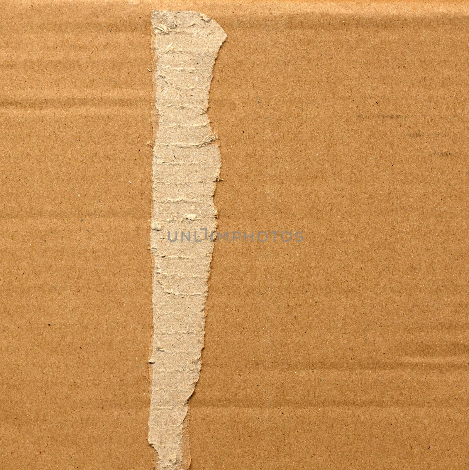 Brown corrugated cardboard sheet background