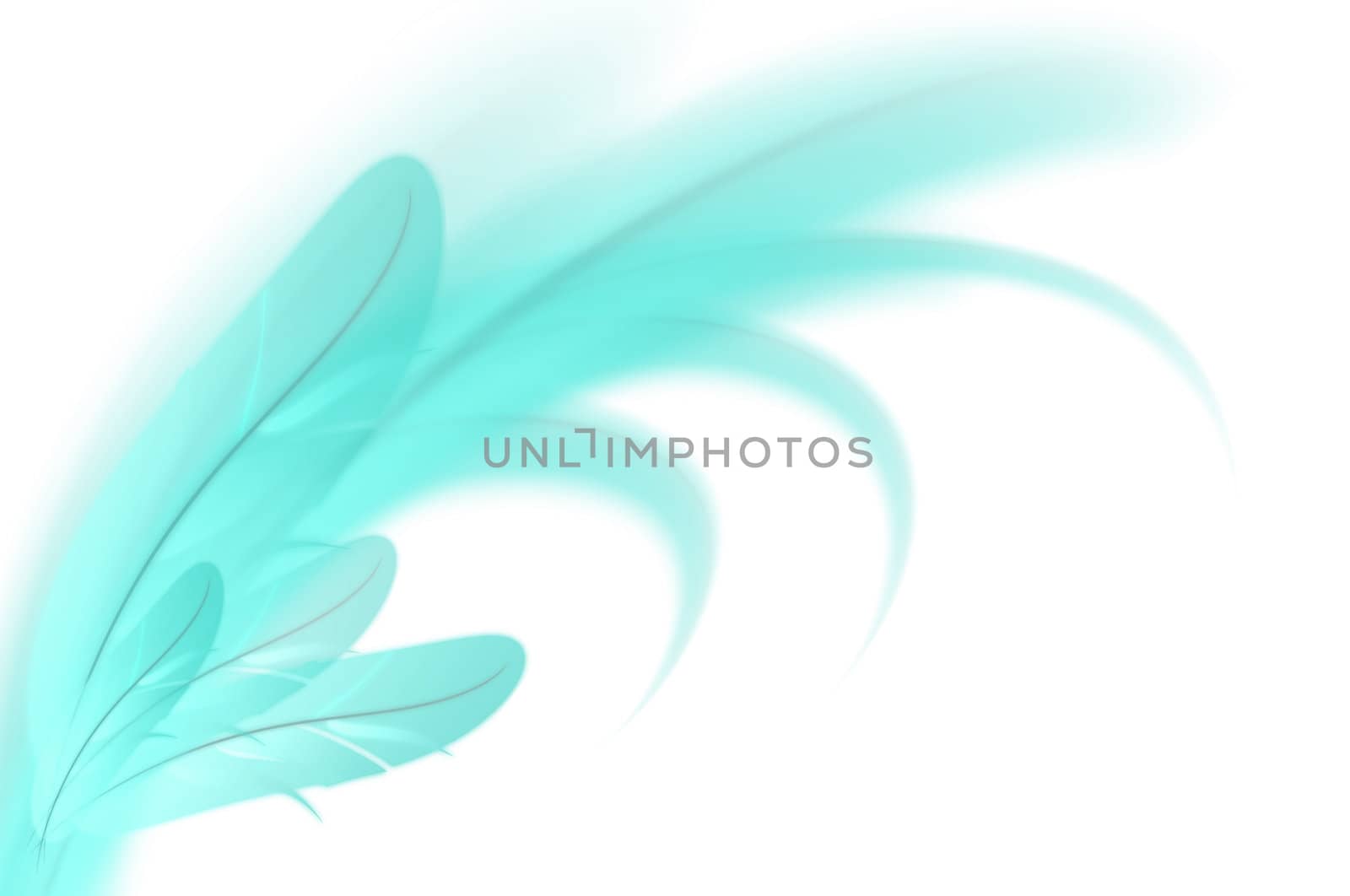 Abstract blue feathers illustration on white background