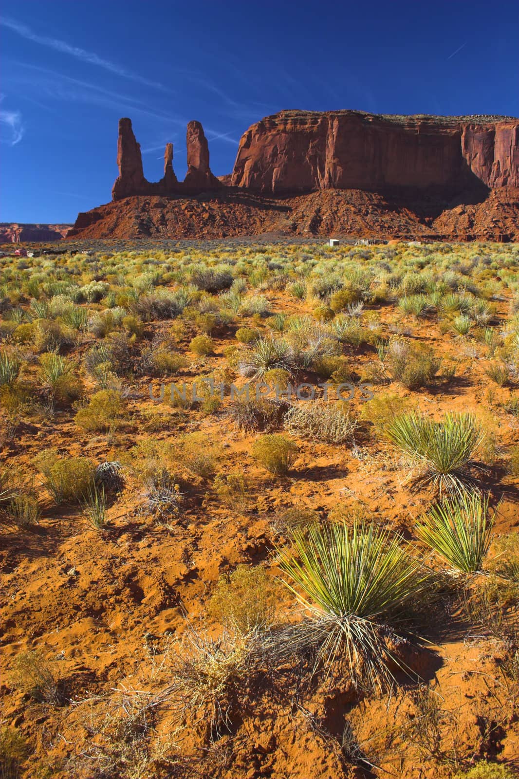 Red rock - semi-desert and the red rock of the Monument Valley with on the background of the famous table mountains