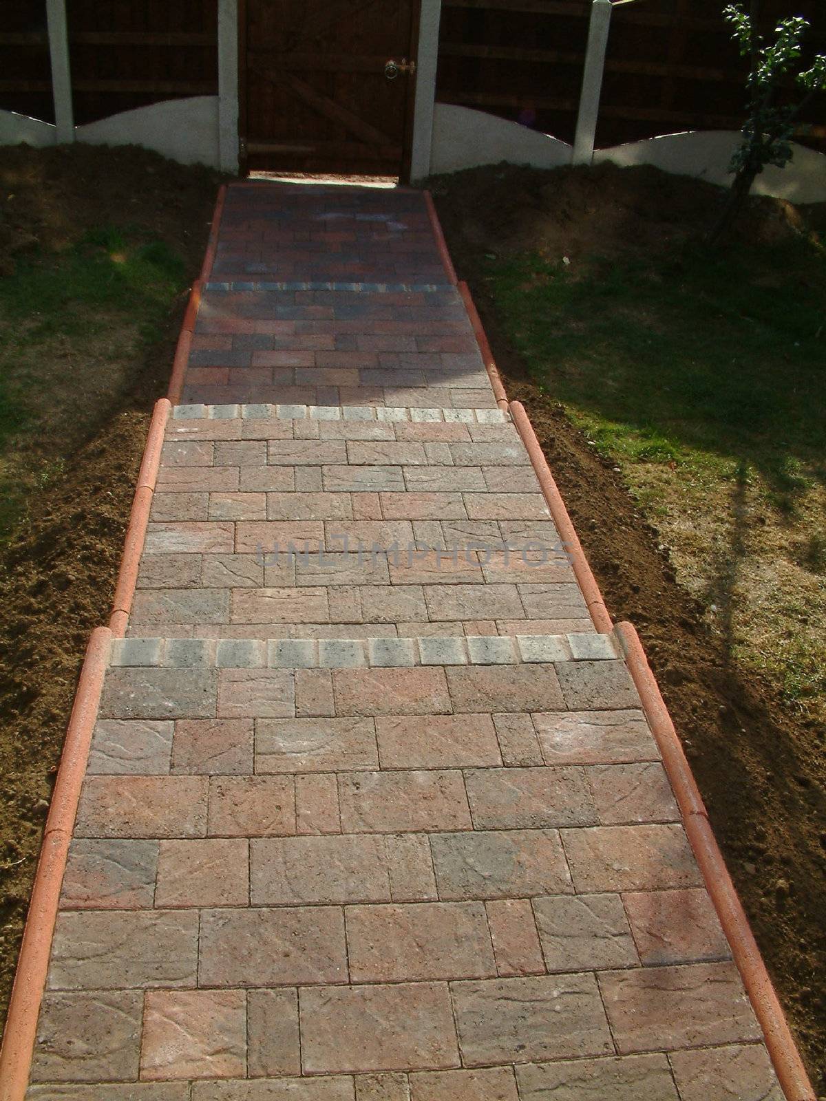 paving block steps by leafy