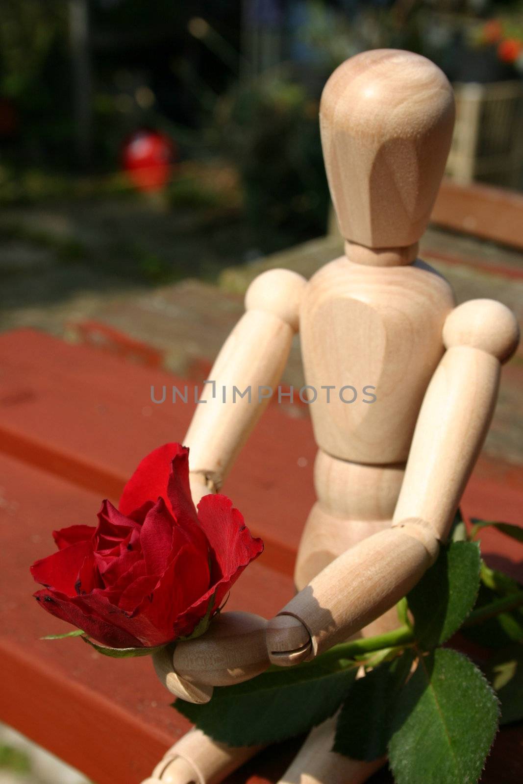 mannequin waiting to give his loved one a rose on valentines day