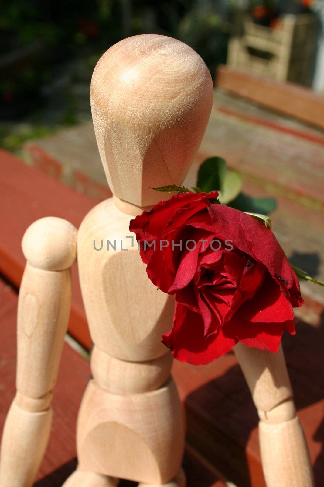 mannequin waiting for a loved one wearing his red rose on valentines day