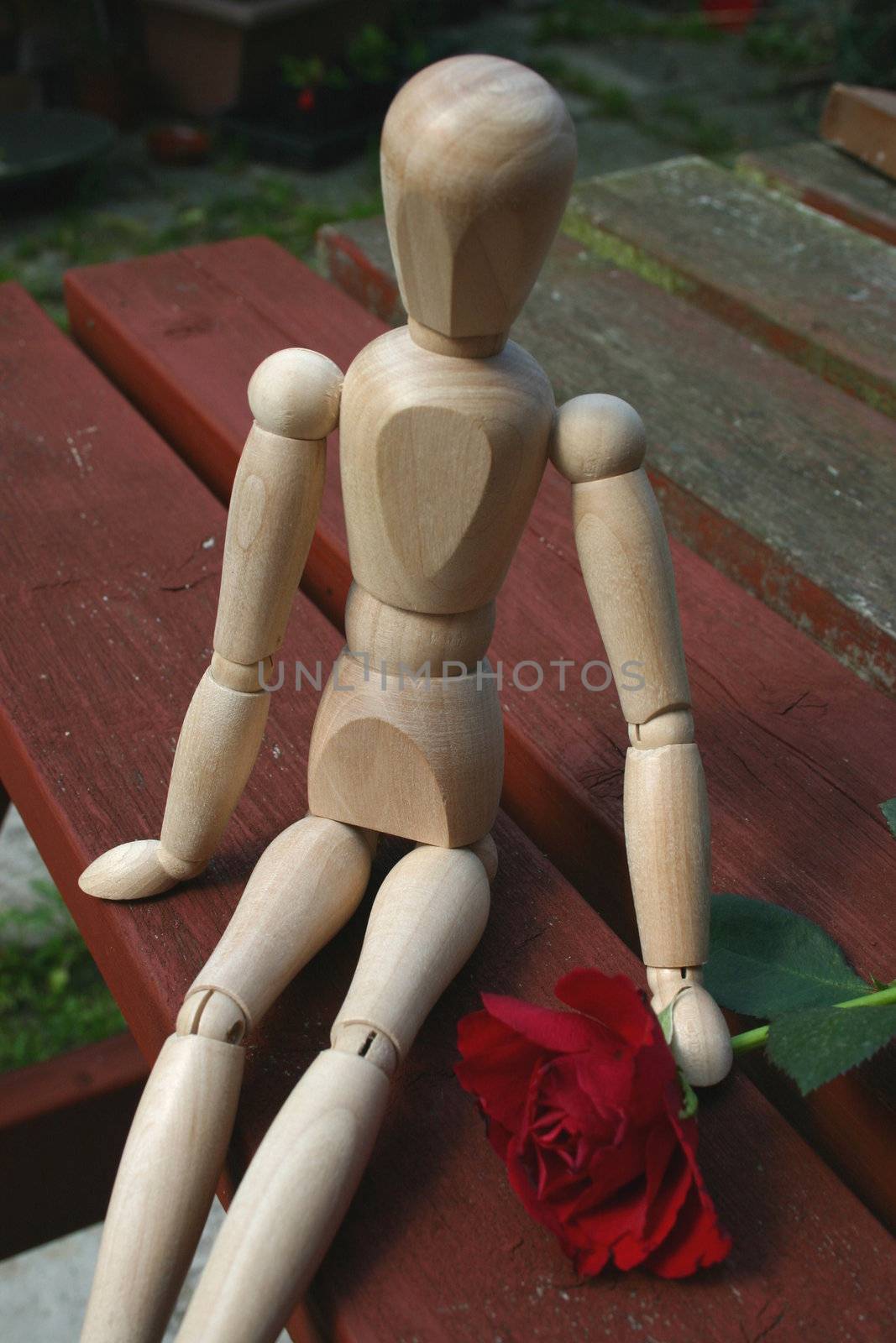 mannequin waiting to give his loved one a rose on valentines day