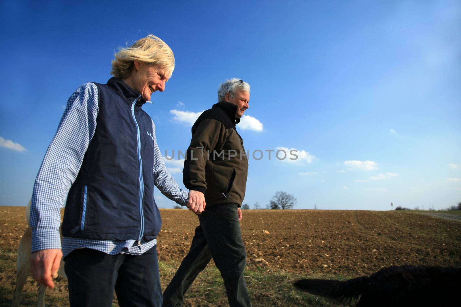An elderly married couple taking their dog for a walk
