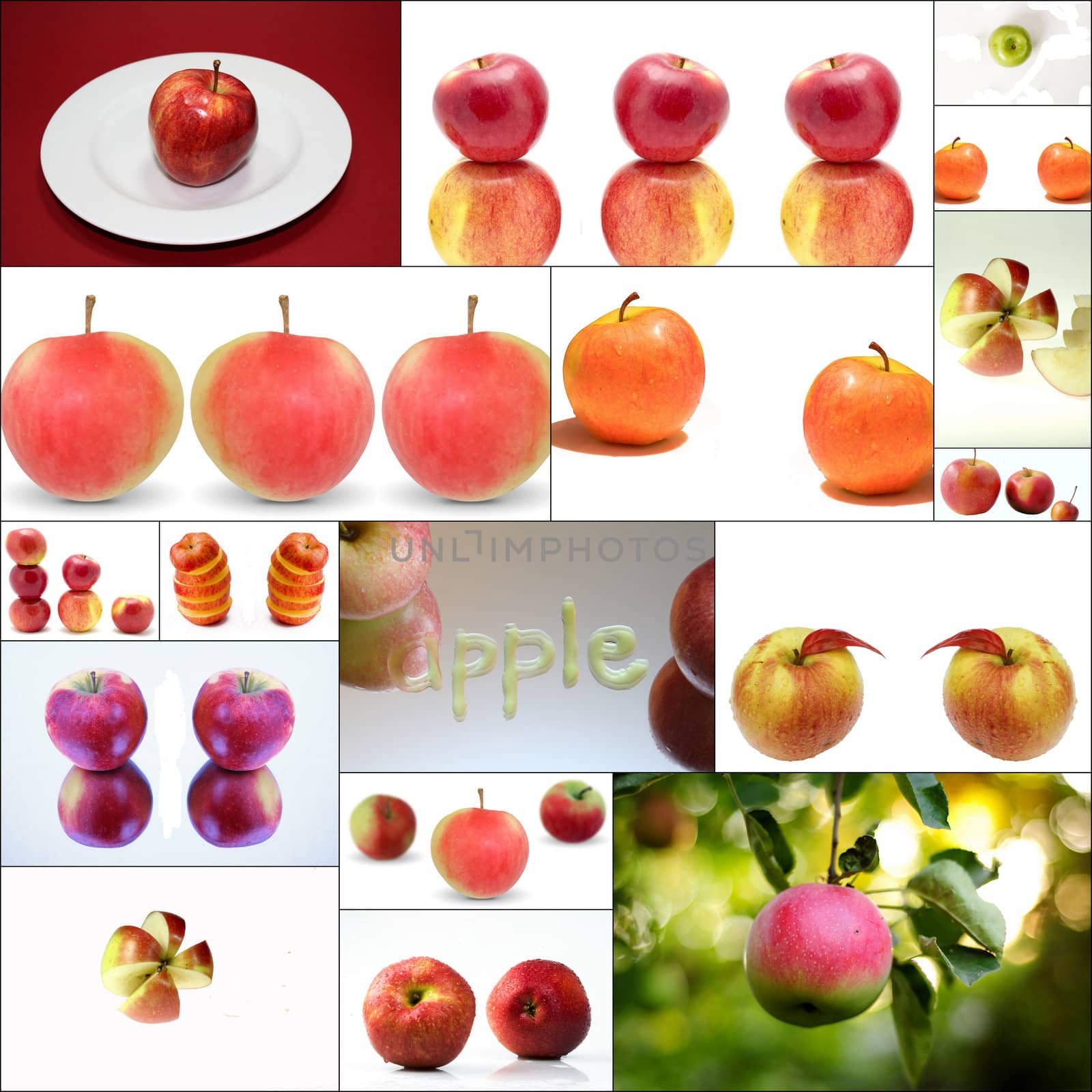 Collage is grouped numerous of pictures with common theme Autumn season and typical for it fruit apples.