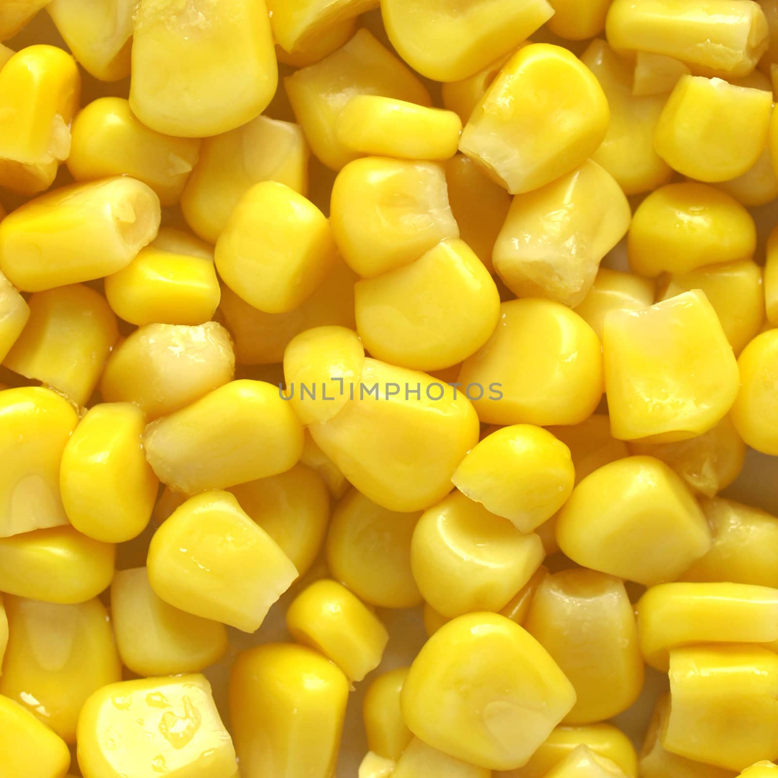 Maize corn by claudiodivizia