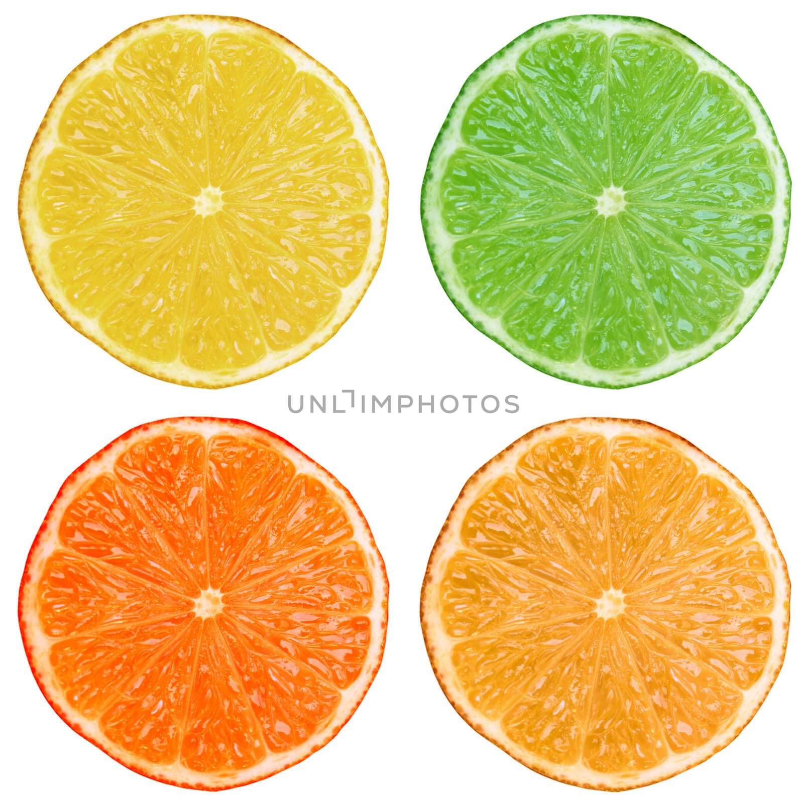 Slices of lemon lime orange citrus fruit isolated on white