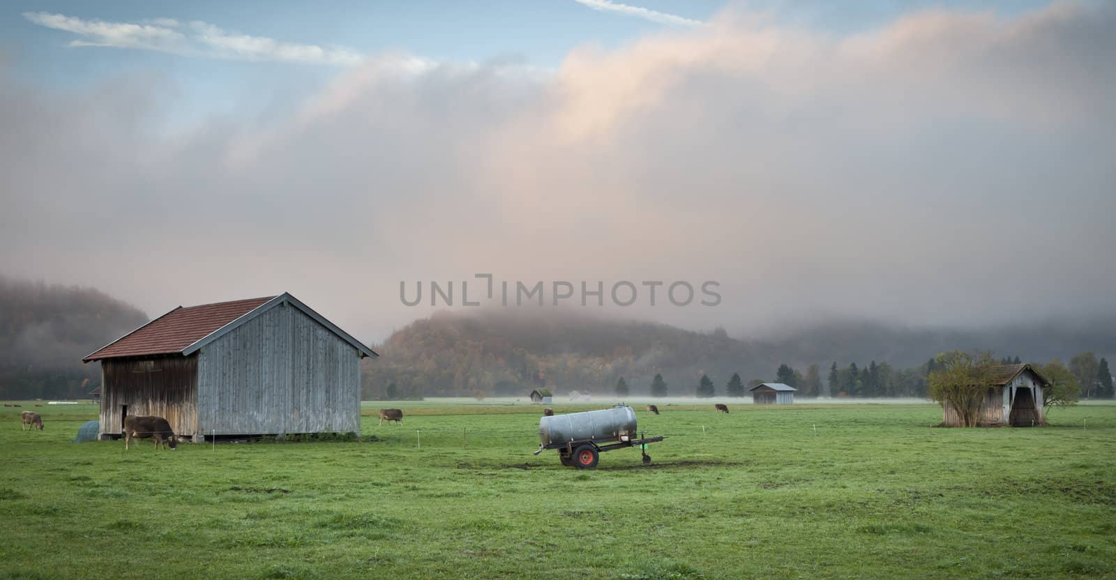 An image of a bavarian scenery with cows