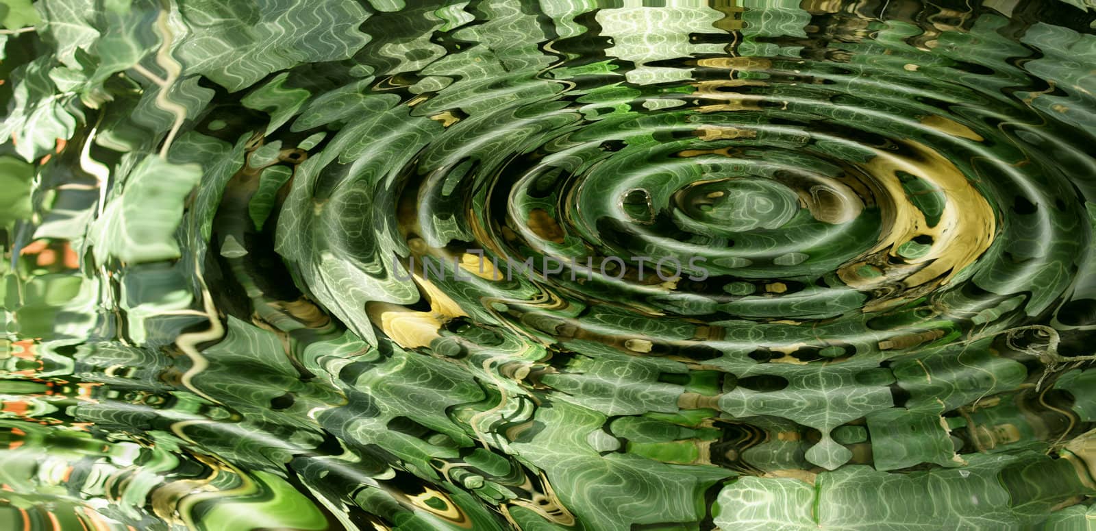 Green ivy leaves with water waves background