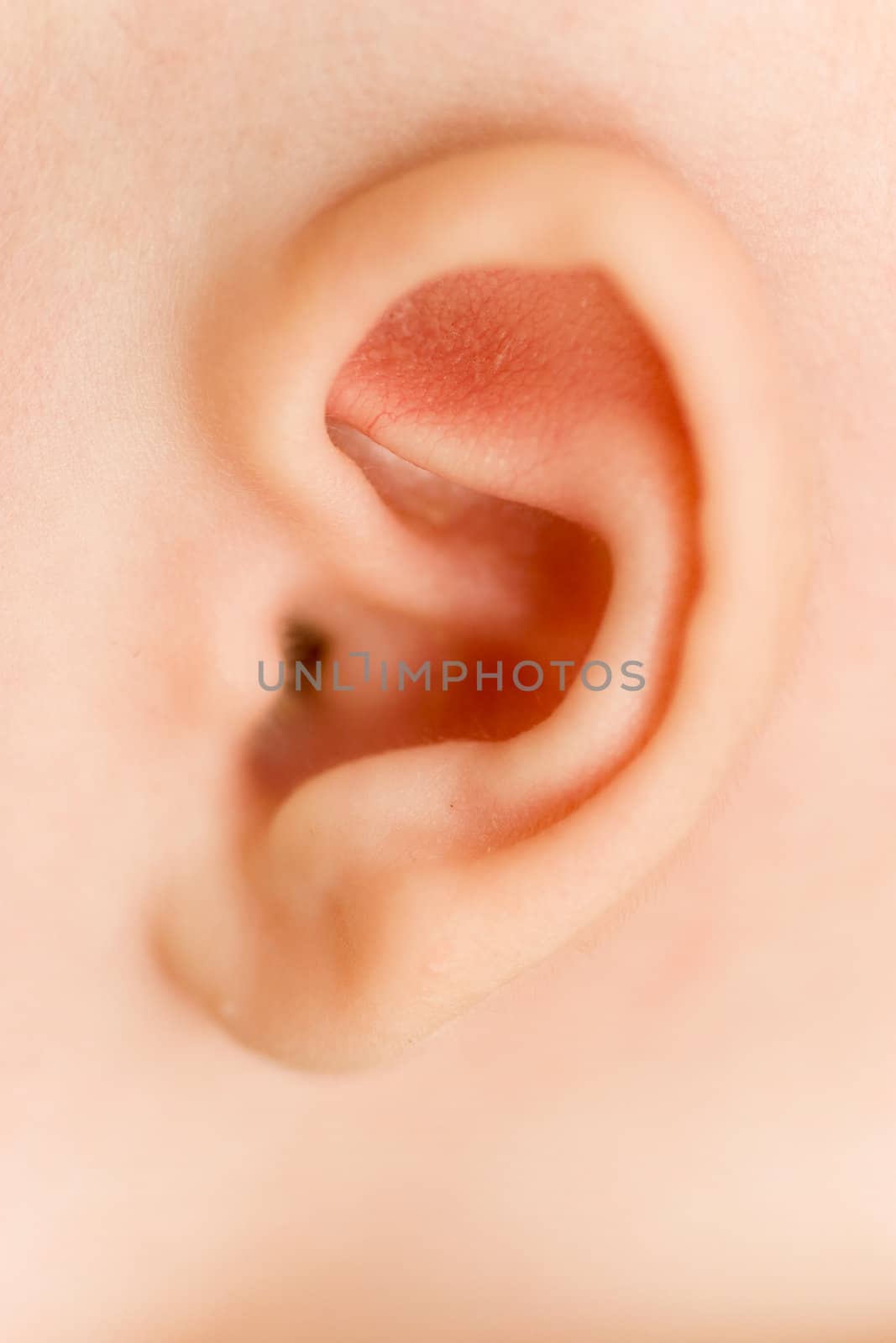 close-up on one month old baby's ear 