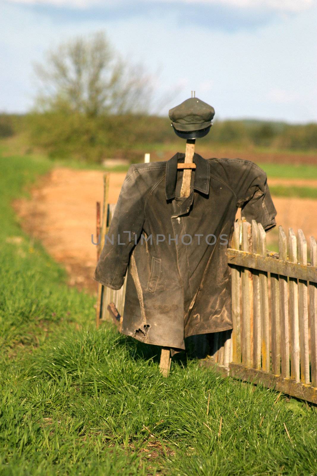 Garden Scarecrow