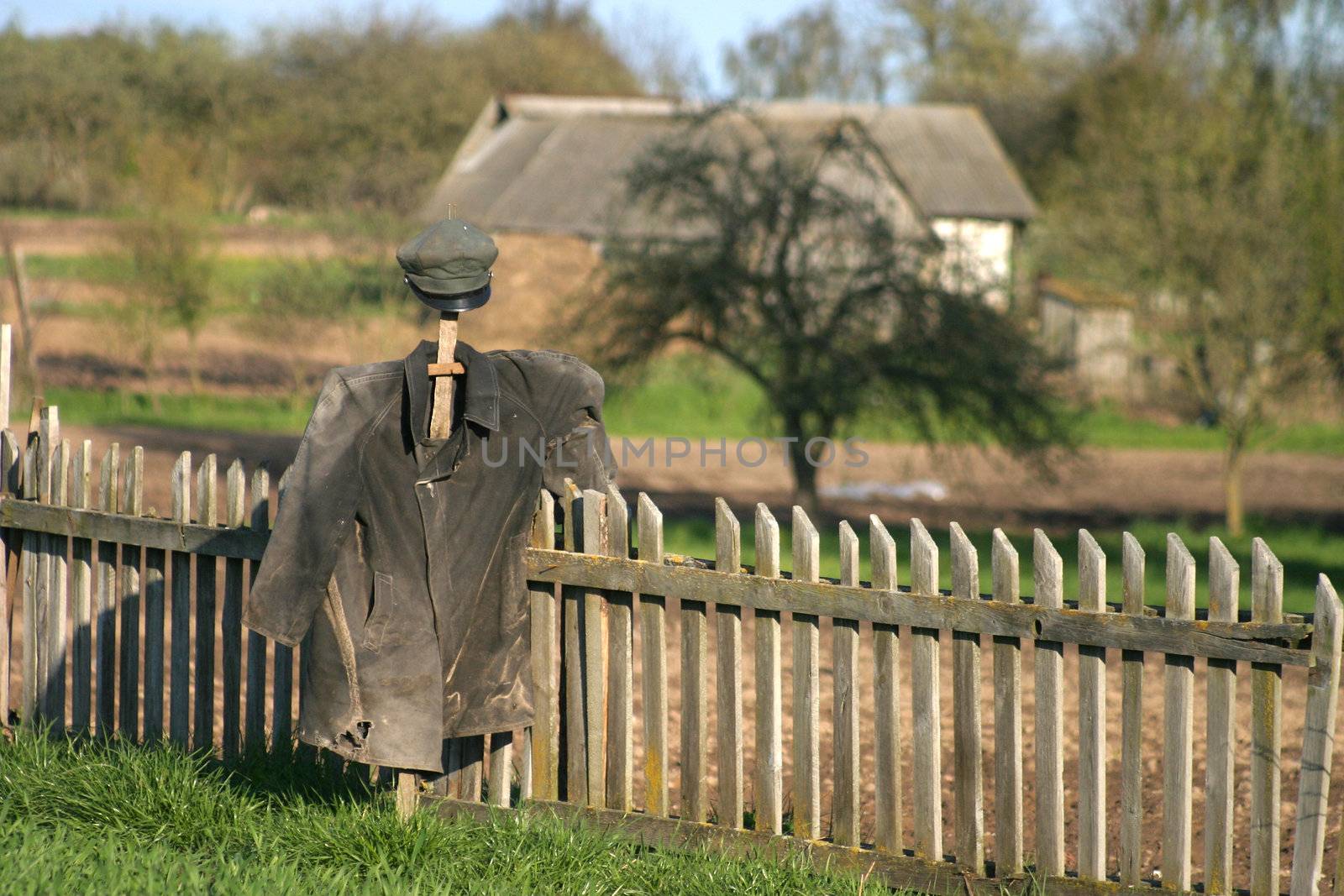 Garden Scarecrow