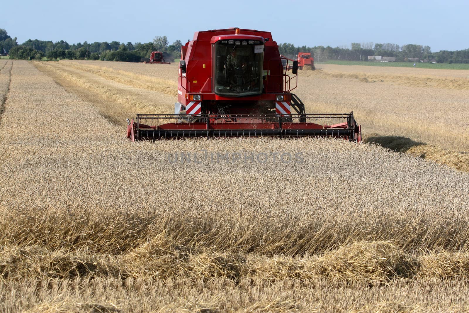 Machine harvesting the corn field