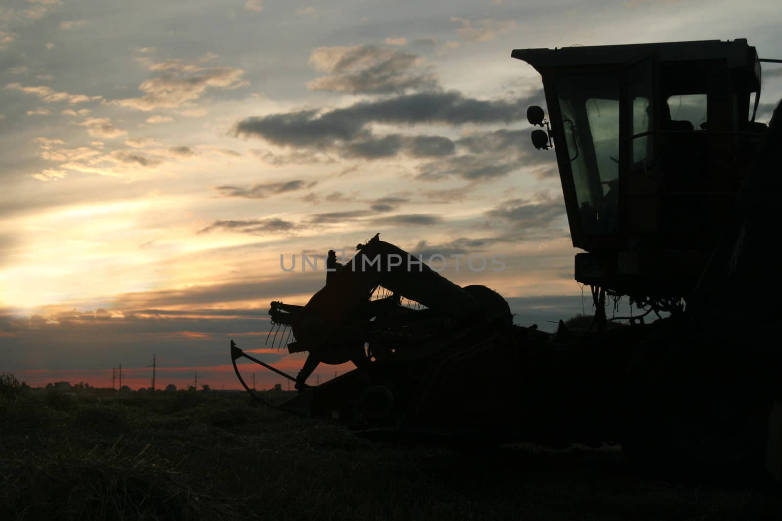 Silhouette machine harvesting the corn field