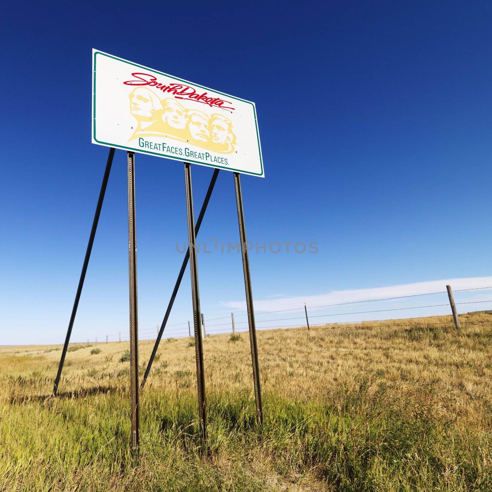 South Dakota road sign with Mount Rushmore graphic in rural field.