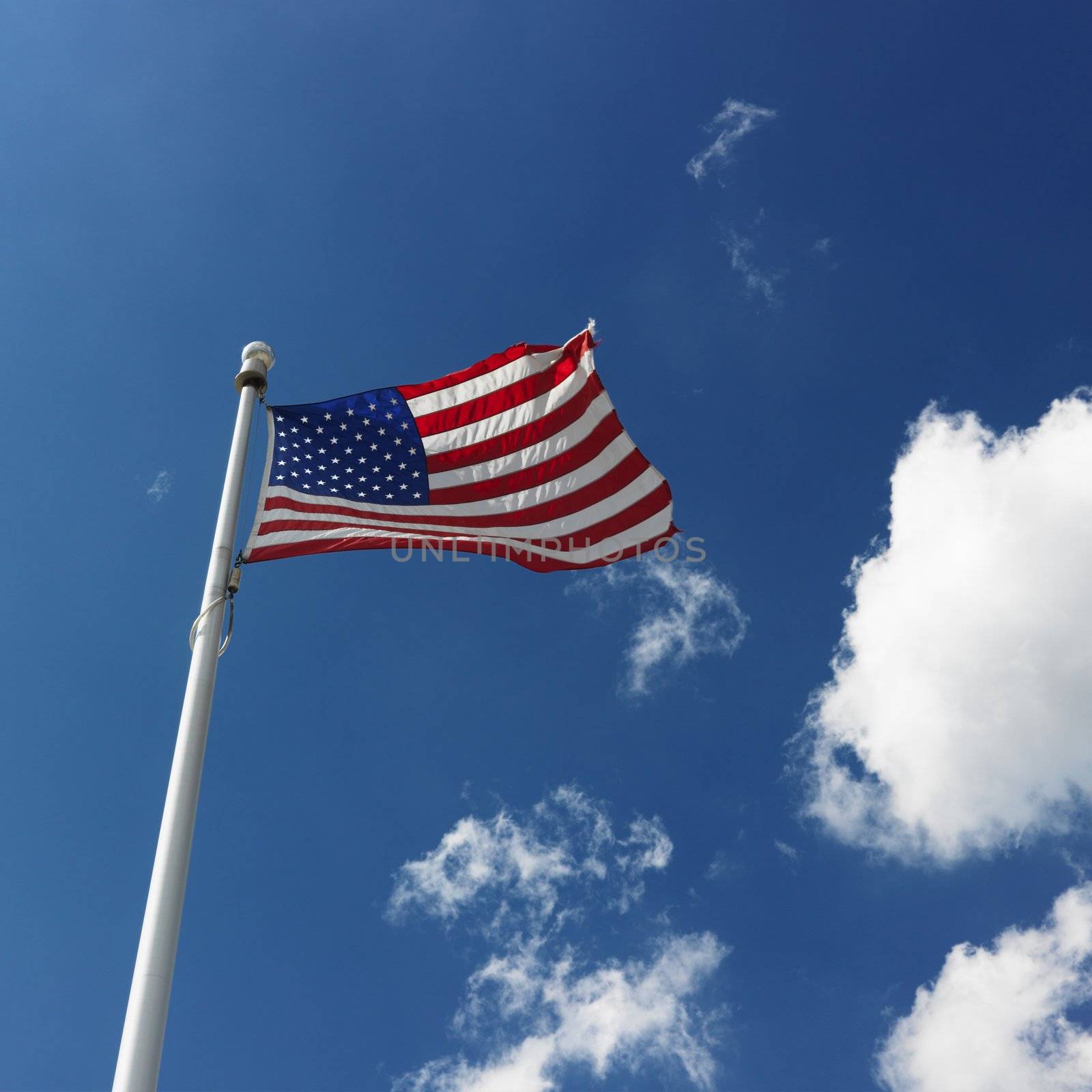 Low angle view of American flag flying with cumulus cloud formation in blue sky.