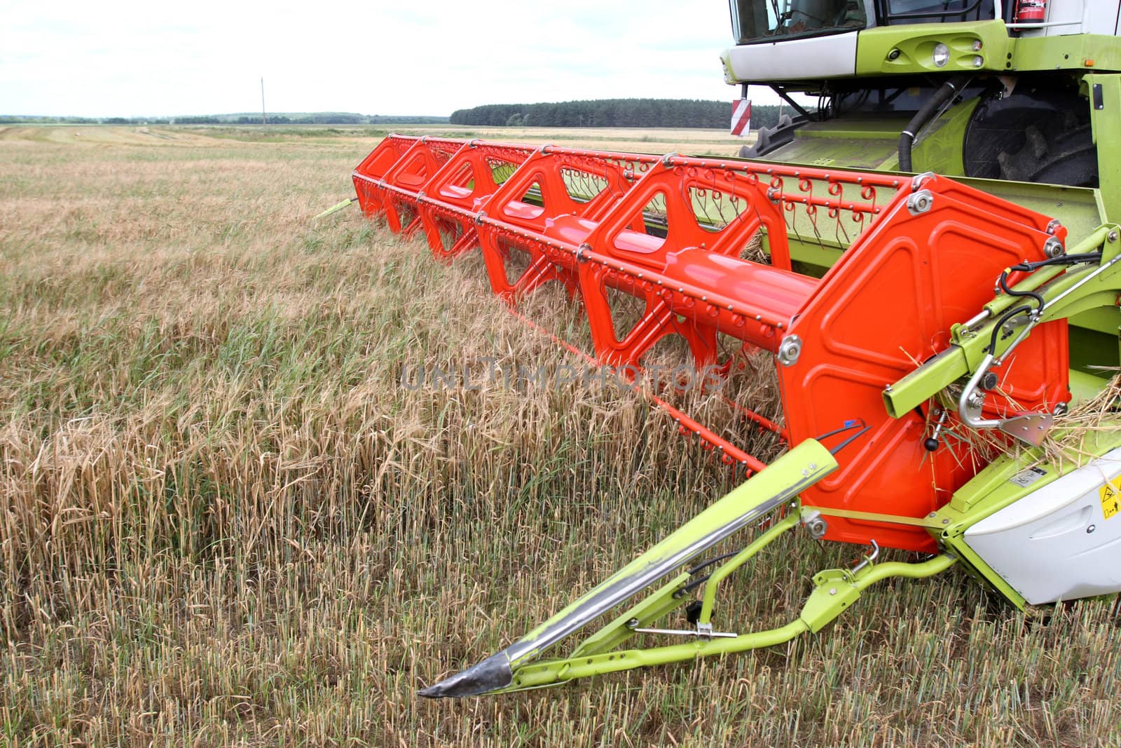 Machine harvesting the corn field