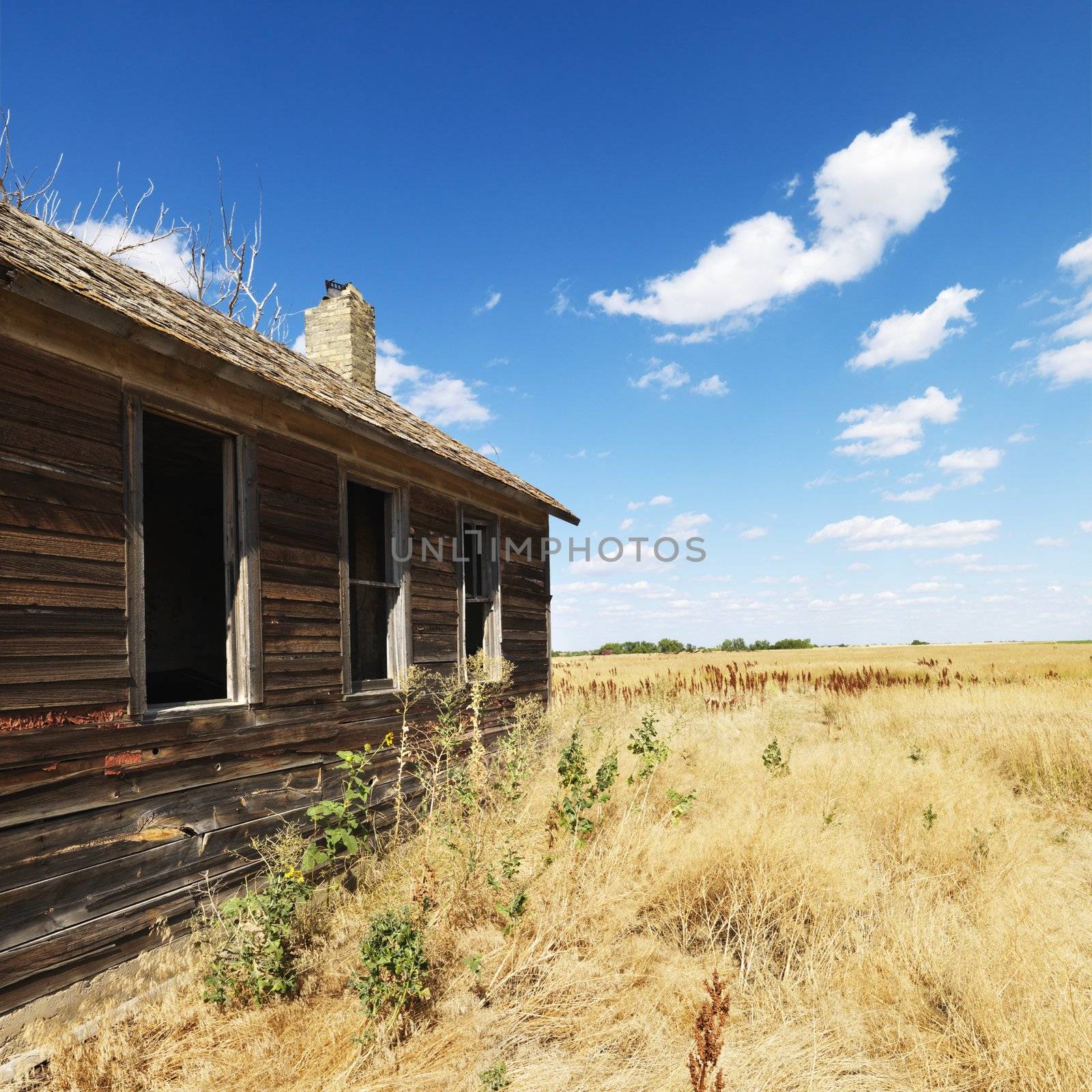 Side of wooden dilapidated building in rural field.