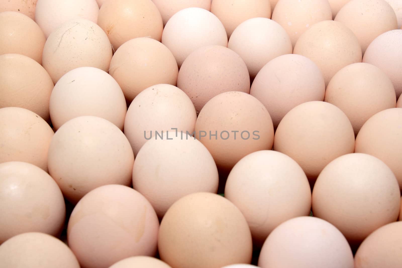 A plenty of eggs