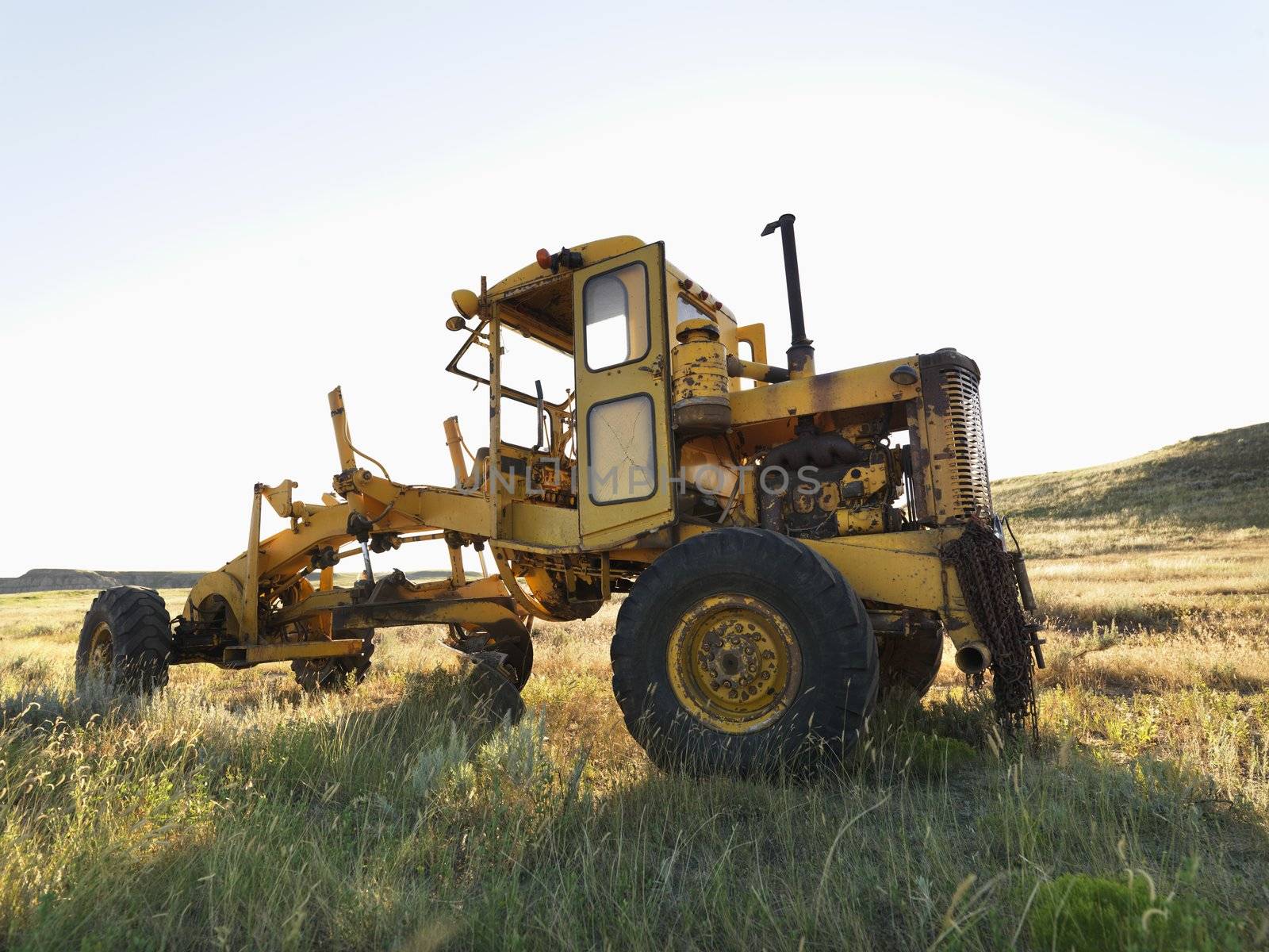 Yellow tractor in field.