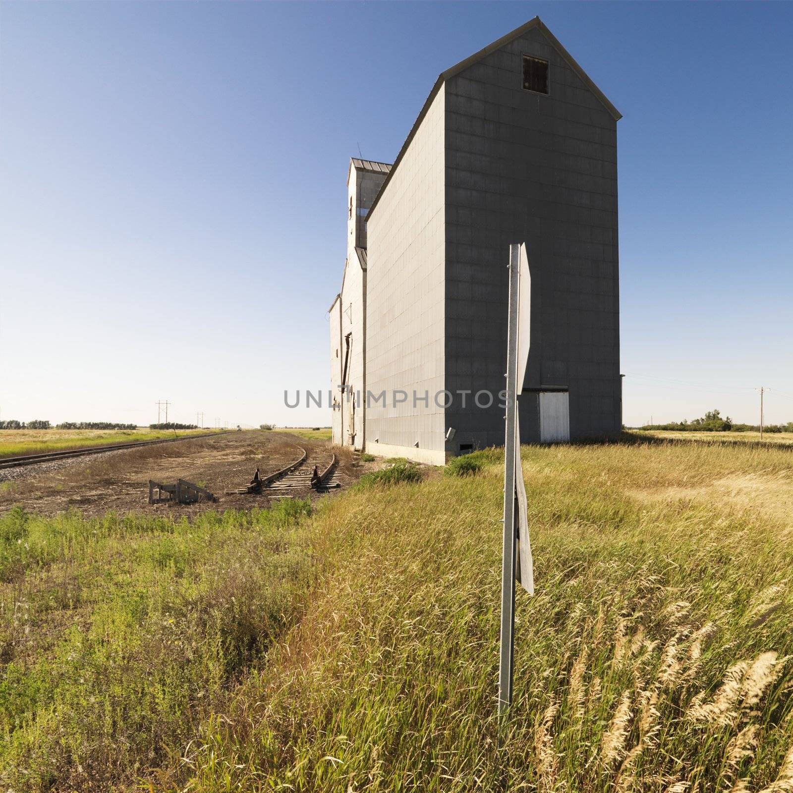 Grain elevator. by iofoto
