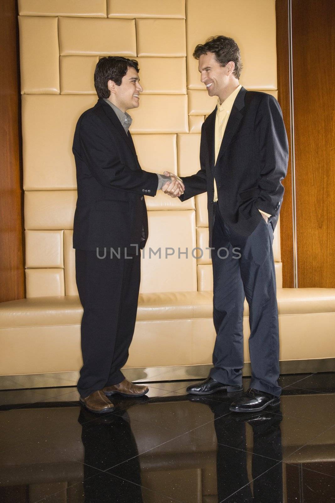Two businessmen standing and shaking hands.