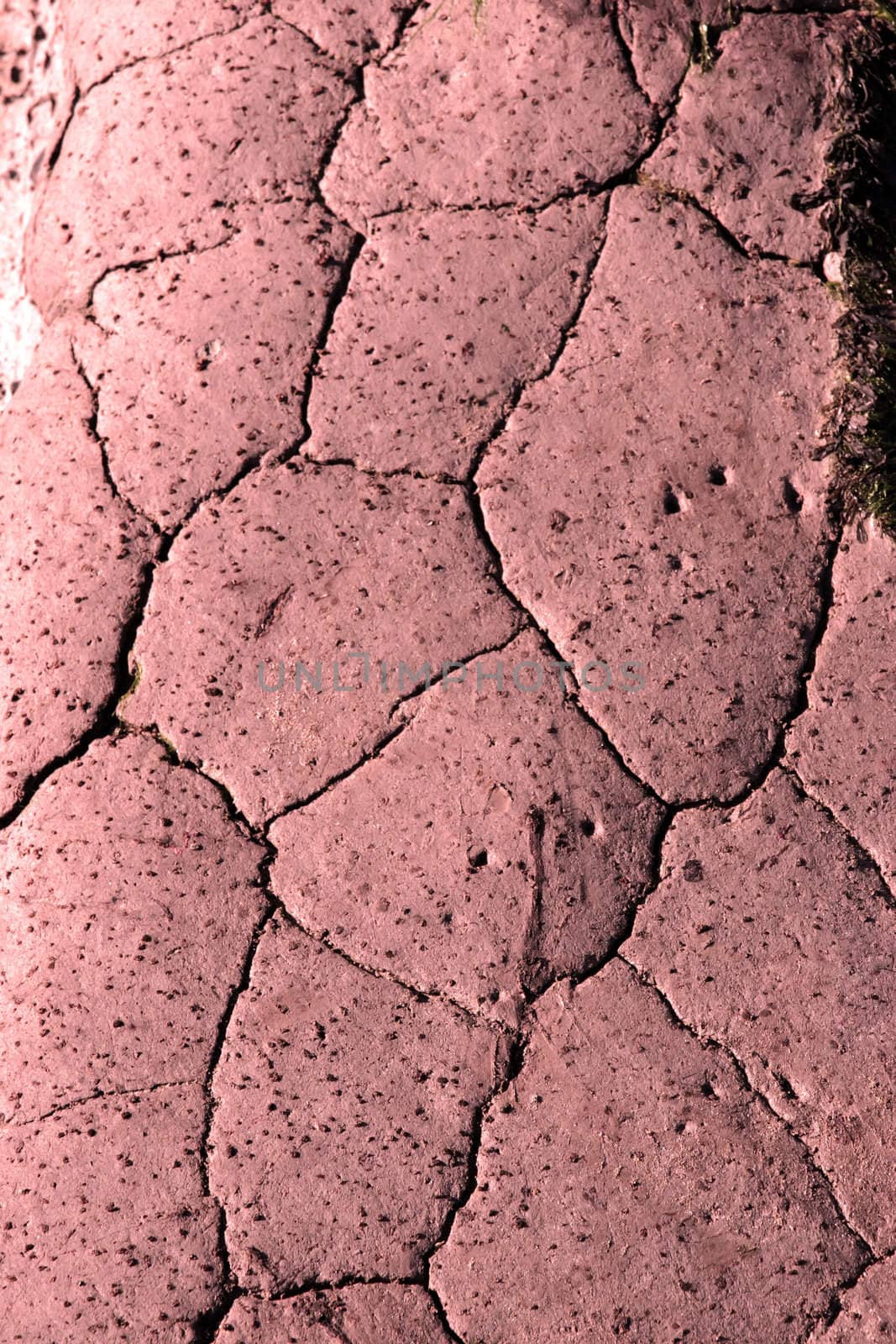 dry land after a long dry spell without water