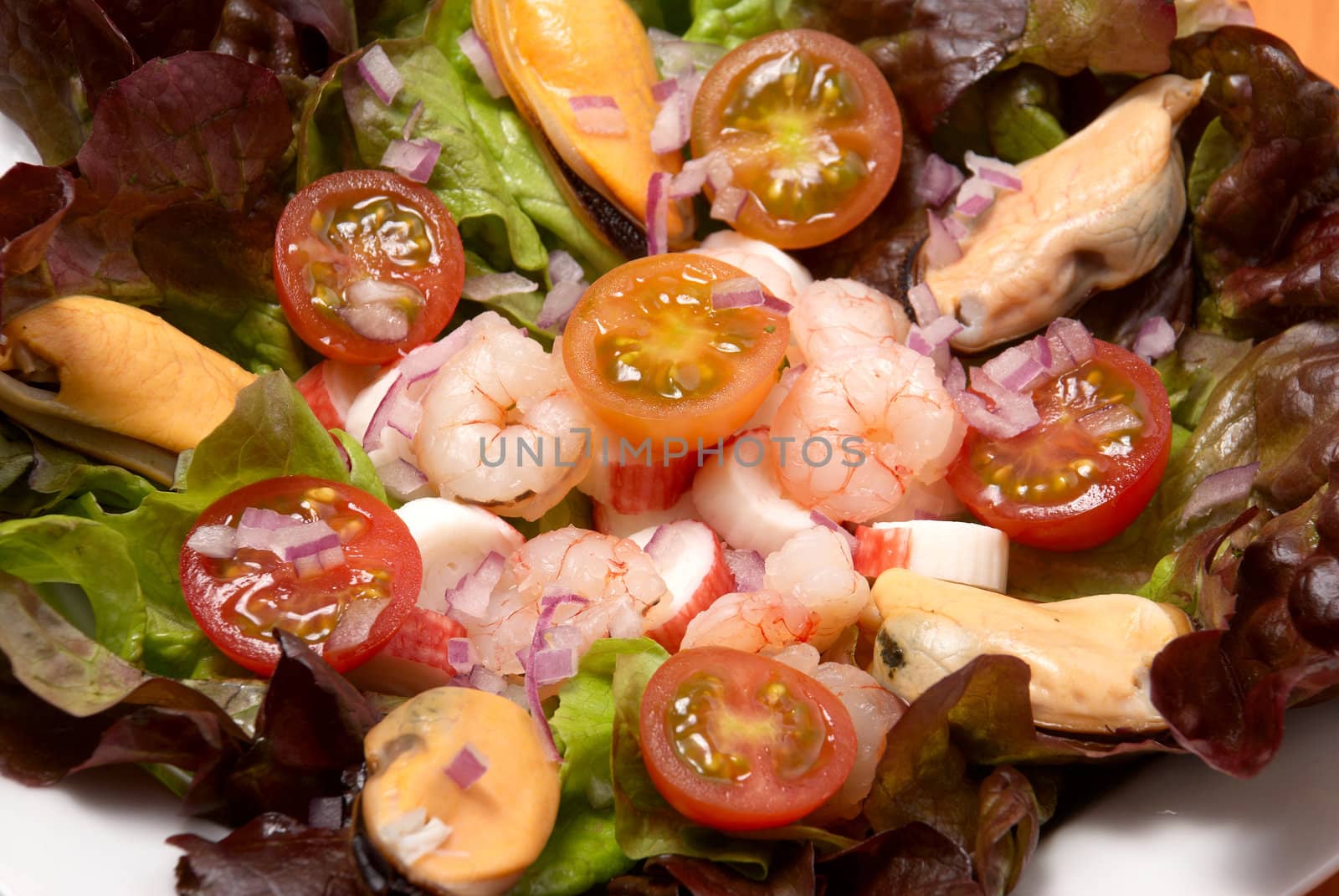 Shrimp salad by hemeroskopion