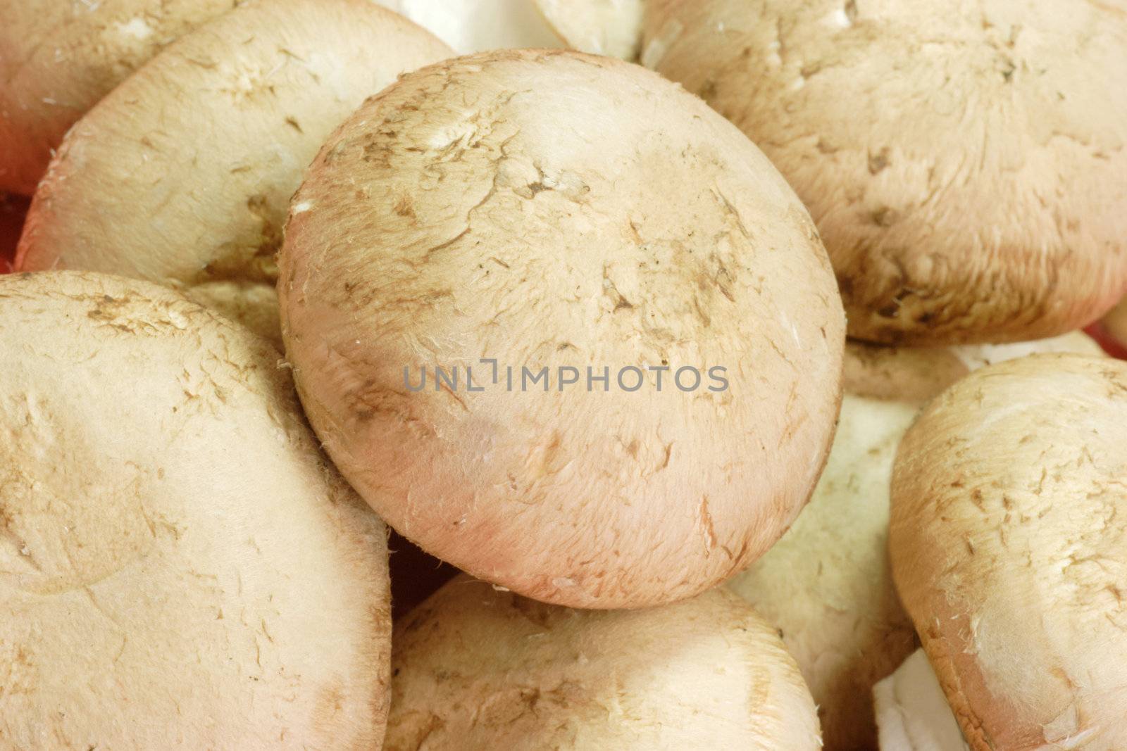Closeup of fresh brown mushrooms