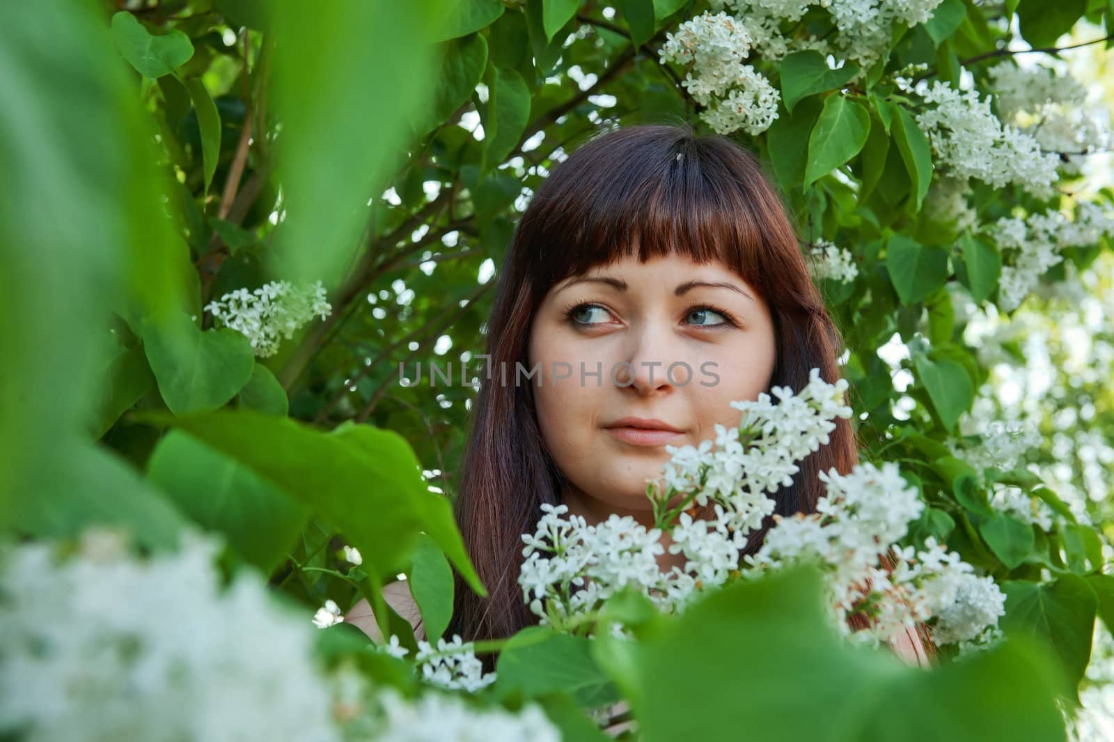 Portrait of young beautiful woman with pipe-tree.
