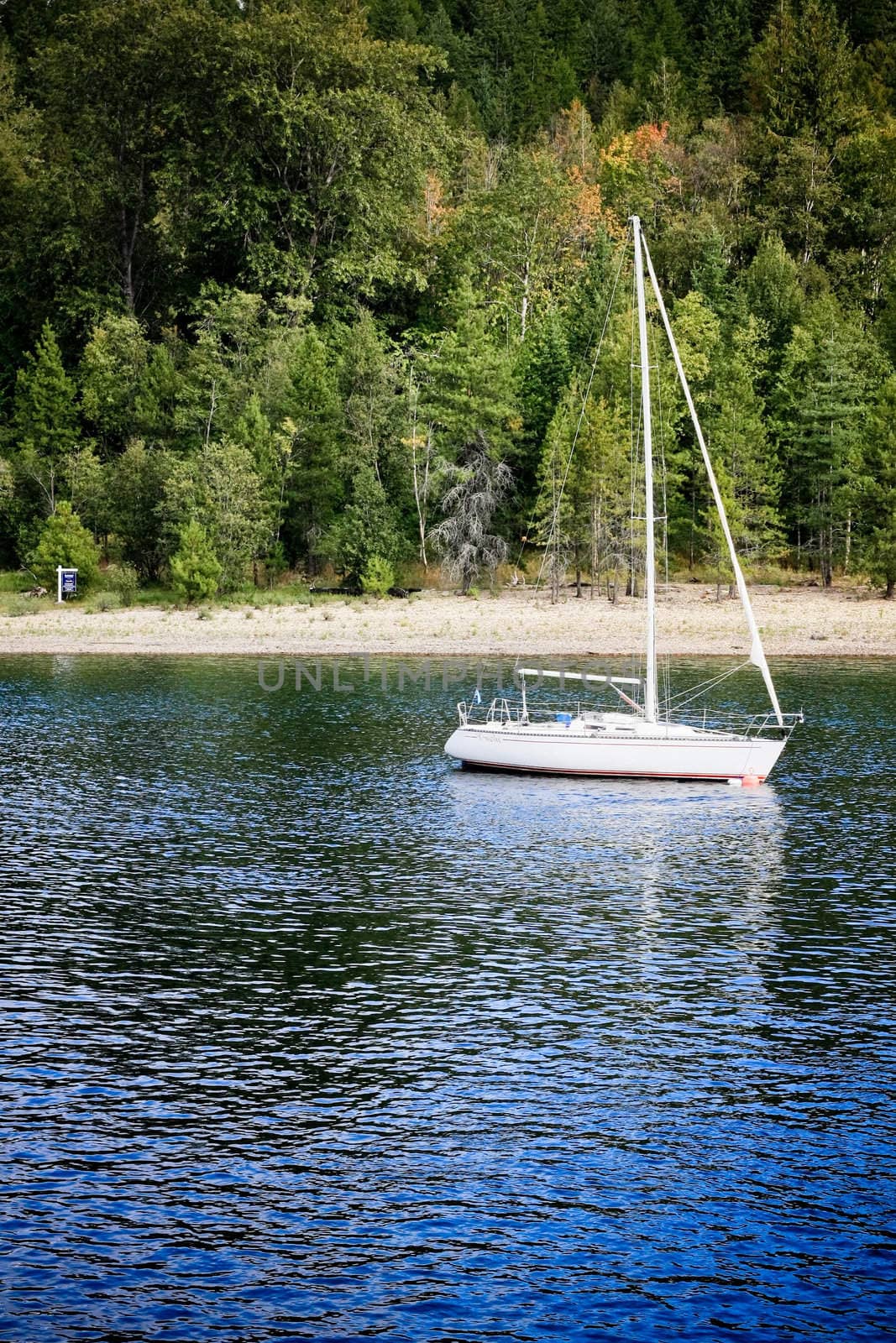 a white yacht parched close to the beach