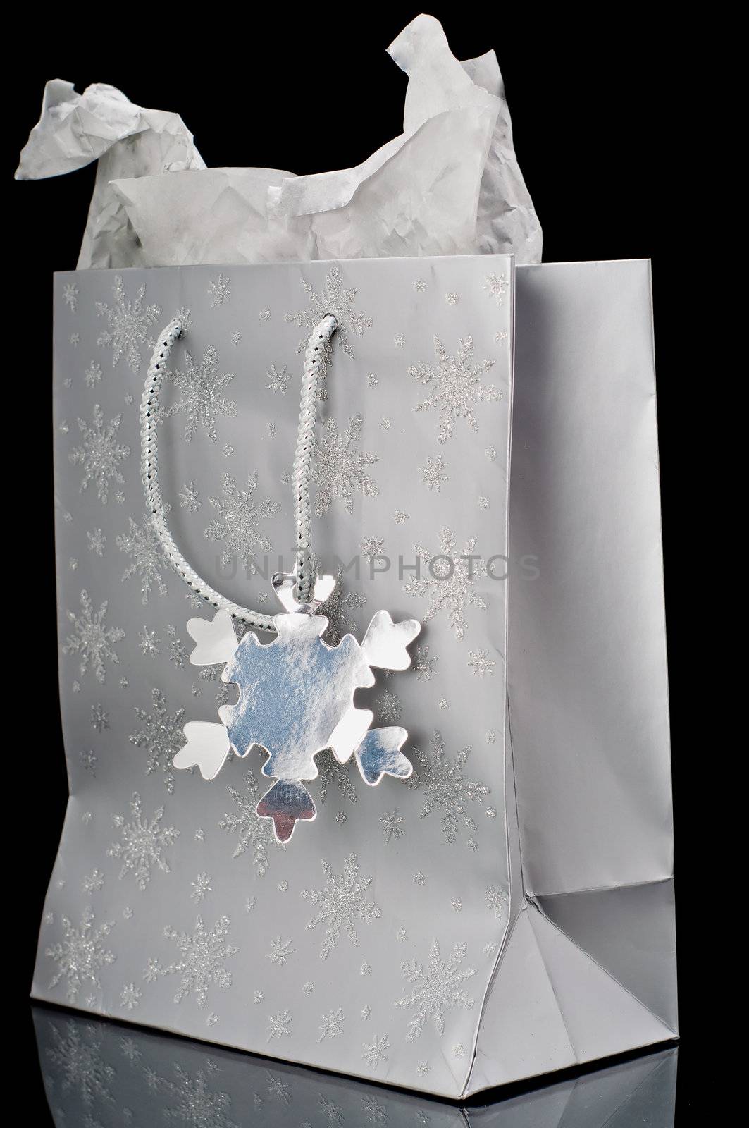 Silver Gift Bag by timh