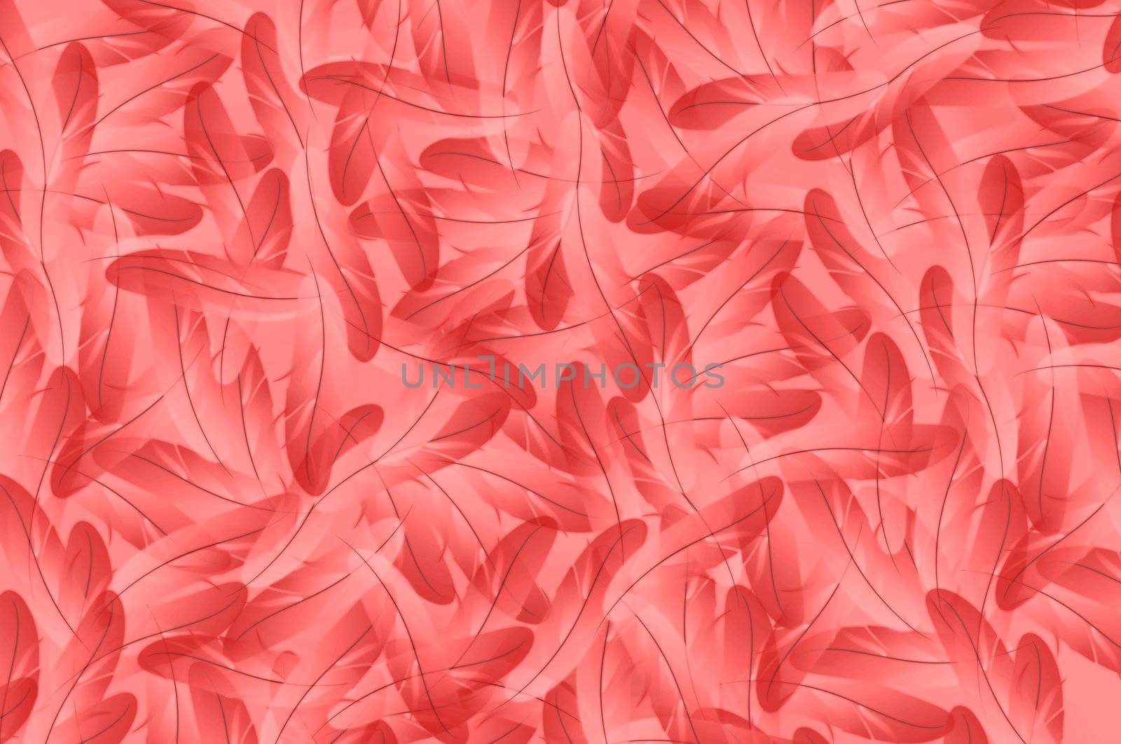 The grunge abstract red feathers illustration background