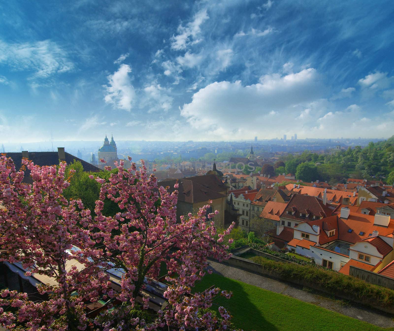 Photo of Prague. View on a quarter of old city. Spring morning. Blooming apple on sity garden