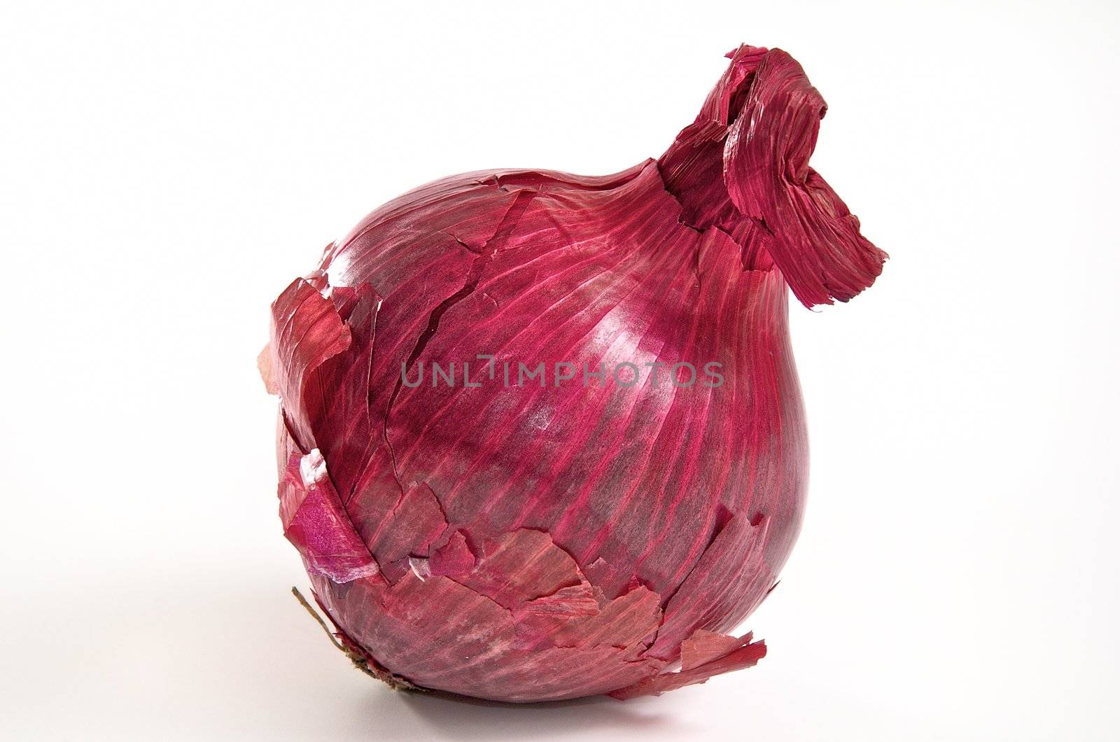 red onion by achauer
