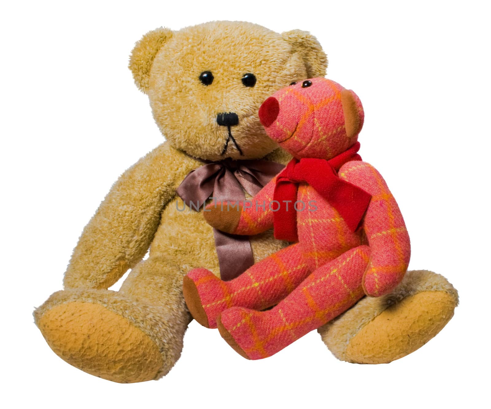 couple of bears  isolated over white with clipping path