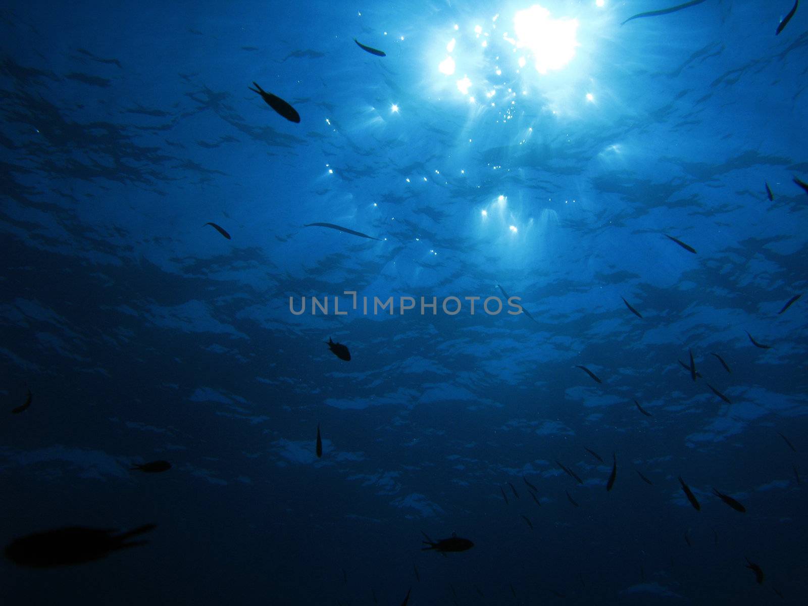 Sun rays from sea underwater.