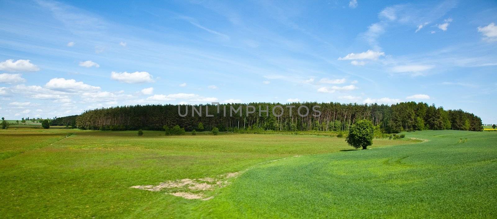 Countryside view in late spring in Greater Poland