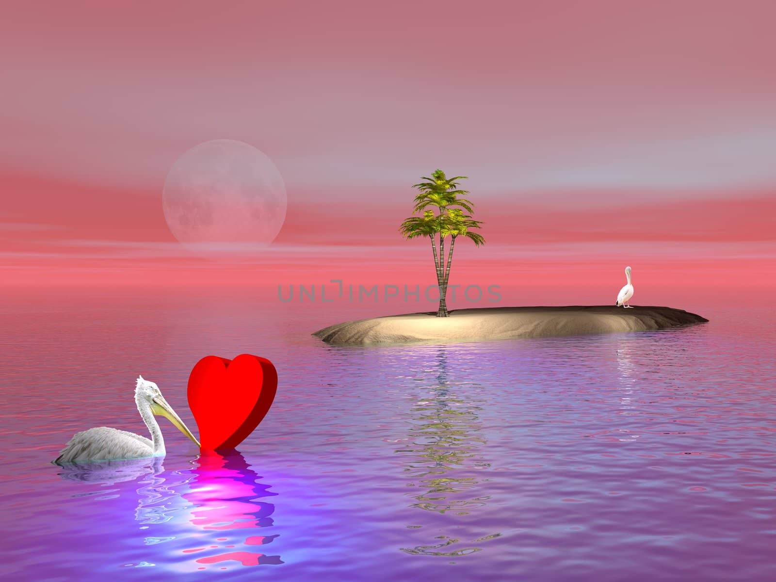 One pelican floating on the ocean and pushing a big lovely red haert to another pelican standing and waiting on a island with a palm tree by sunset