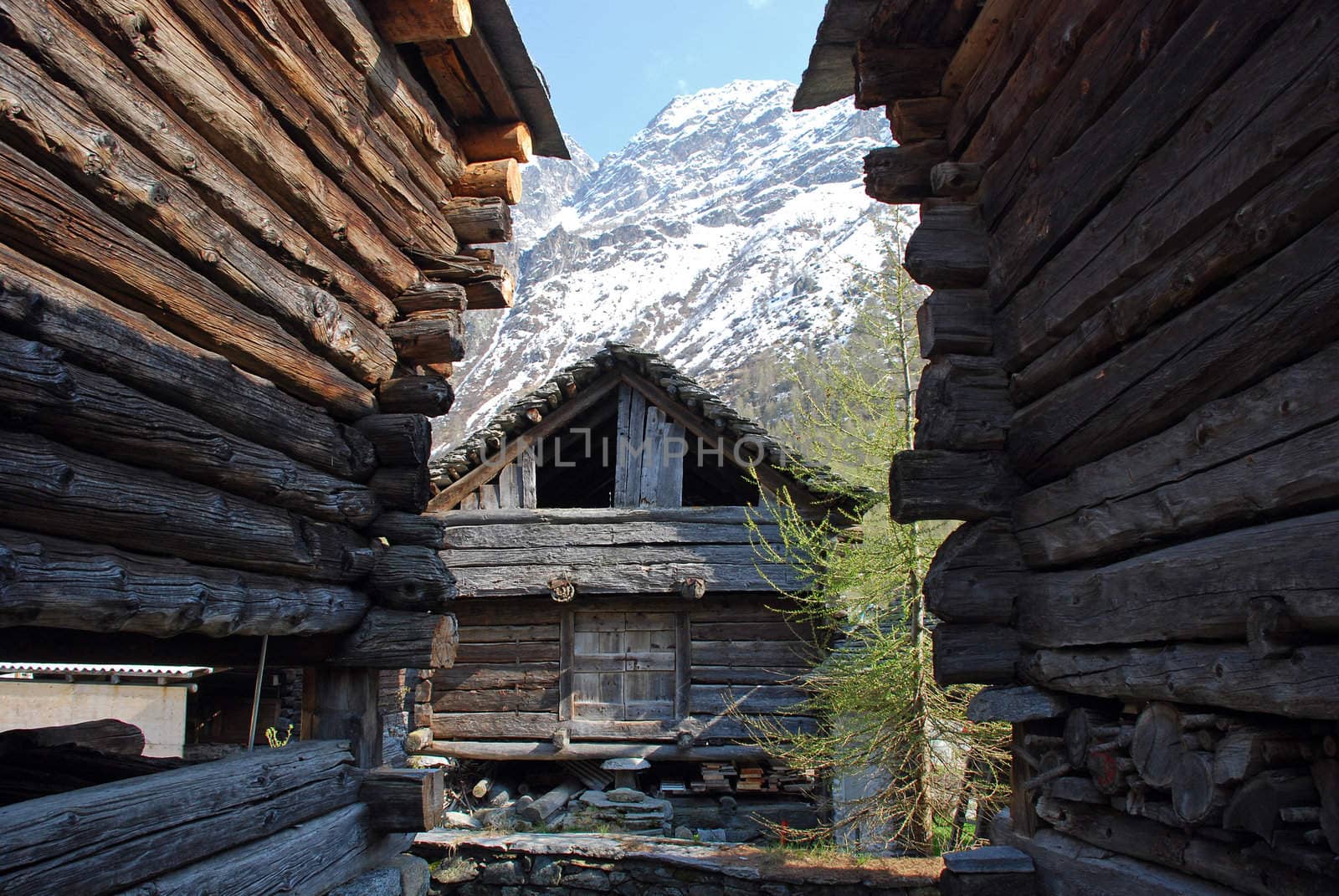 Oldest traditional houses of Bosco Gurin village  by dariya64