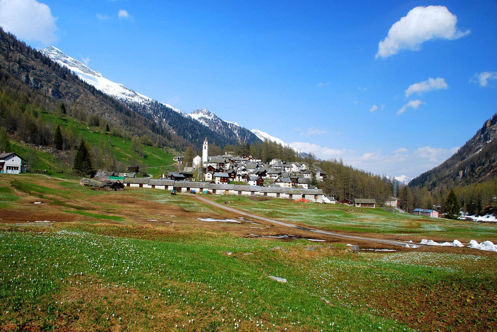 Bosco Gurin villages seen from un valley by dariya64